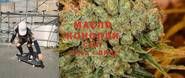 гидра Кодинск