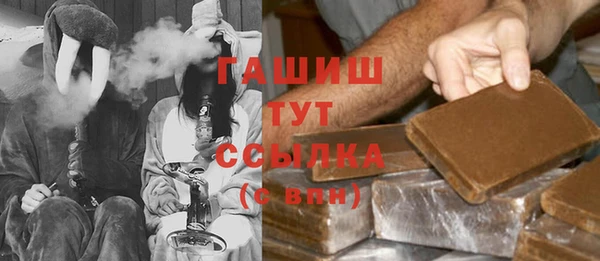 гидра Кодинск