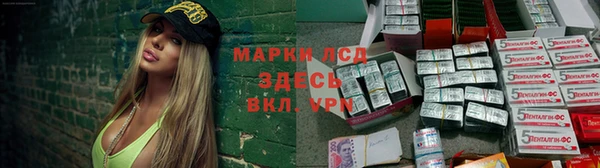 гидра Кодинск