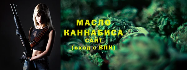гидра Кодинск
