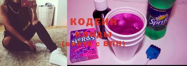 гидра Кодинск