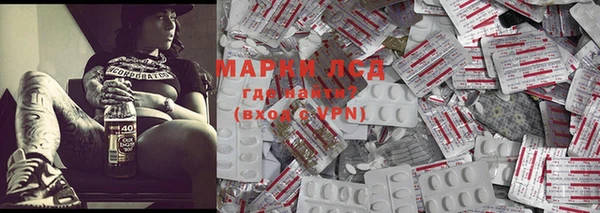 гидра Кодинск