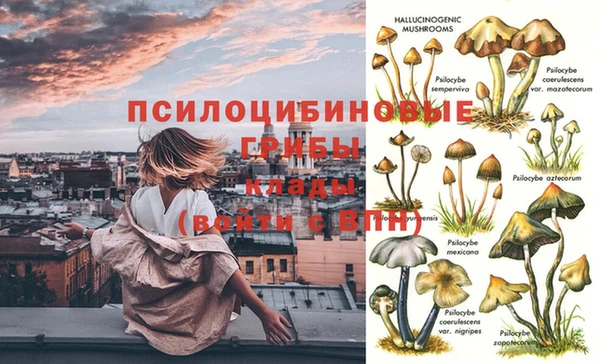 jwh Козловка