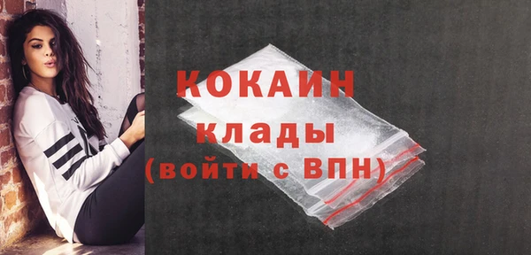 гидра Кодинск
